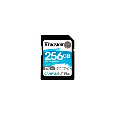 Kingston Canvas Go Plus SDXC 256GB Class 10 U3 V30 A2 UHS-I SDG3/256GB